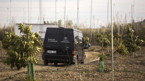 Una mujer y un hombre, fallecidos en un accidente de avioneta en Málaga. EFE Una mujer y un hombre, fallecidos en un accidente de avioneta en Málaga. EFE