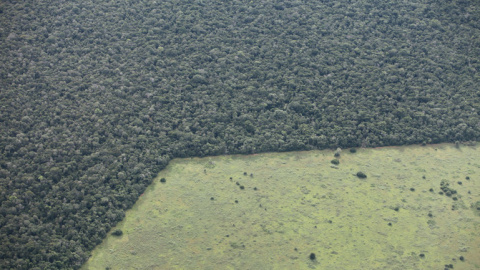 Bosques convertidos en pastos en Brasil. / Rhett A. Butler