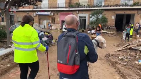Cientos de animales afectados por la DANA de Valencia Cientos de animales afectados por la DANA de Valencia