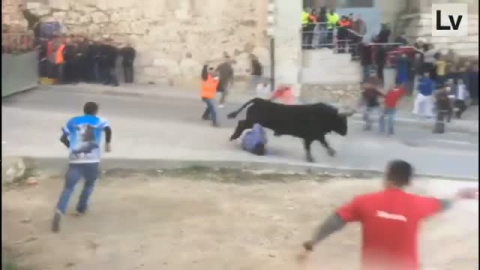Un toro embiste a un hombre en los encierros de Onteniente Un toro embiste a un hombre en los encierros de Onteniente