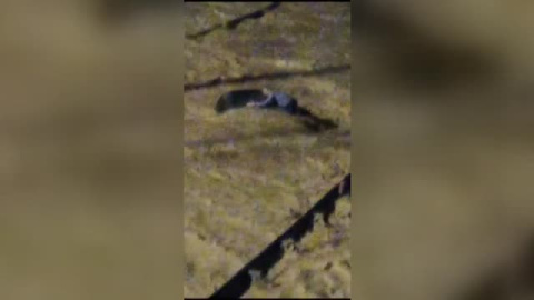 Los valencianos atestiguan el trágico paso de la dana por la Ribera alta Los valencianos atestiguan el trágico paso de la dana por la Ribera alta