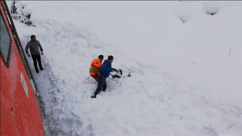 Rescatan a un ciervo atrapado en la nieve en Austria Rescatan a un ciervo atrapado en la nieve en Austria