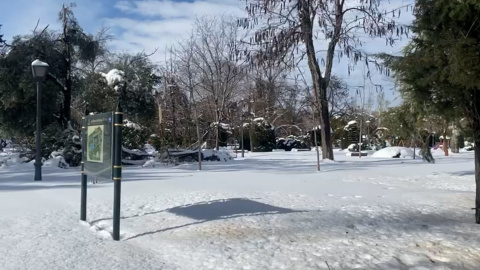 El Parque del Retiro continúa completamente nevado este domingo El Parque del Retiro continúa completamente nevado este domingo
