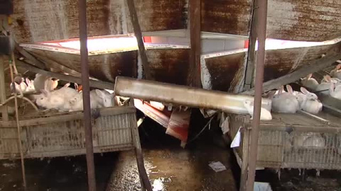 La comarca de Matarraña en Teruel, destrozada por la nieve La comarca de Matarraña en Teruel, destrozada por la nieve