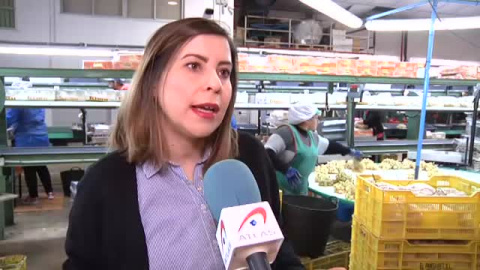 Recogida a contrarreloj de uvas para llegar a las campanadas Recogida a contrarreloj de uvas para llegar a las campanadas