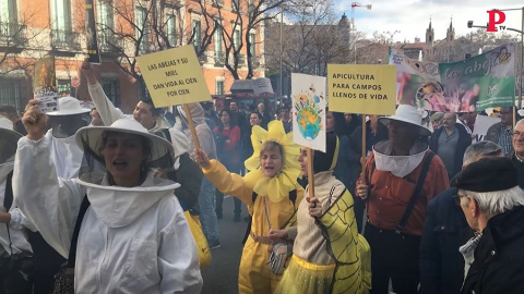 Abejas en peligro: los apicultores piden su protección Abejas en peligro: los apicultores piden su protección