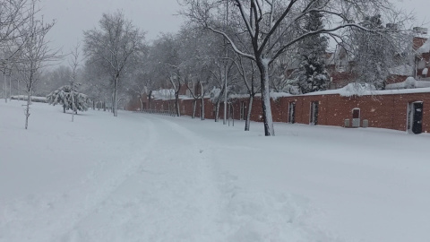 Los efectos de 'Filomena' dejan Tres Cantos cubierto de nieve Los efectos de 'Filomena' dejan Tres Cantos cubierto de nieve