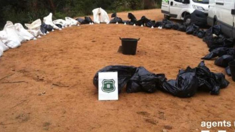 Agentes Rurales con varias de las bolsas con los animales dentro. Agents Rurals Agentes Rurales con varias de las bolsas con los animales dentro. Agents Rurals