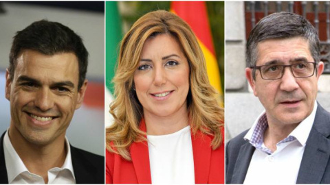 Pulso igualado en las federaciones del PSOE entre "sanchistas, susanistas y patxistas". /PÚBLICO Pulso igualado en las federaciones del PSOE entre "sanchistas, susanistas y patxistas". /PÚBLICO