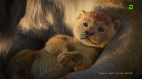 El ciclo sin fin resuena en el nuevo tráiler de El Rey León El ciclo sin fin resuena en el nuevo tráiler de El Rey León
