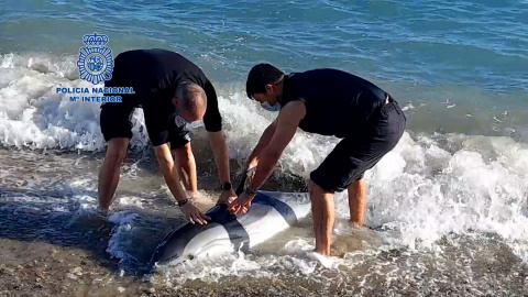 Rescatado un delfín varado en la playa de las Olas (Almería) Rescatado un delfín varado en la playa de las Olas (Almería)
