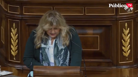 El machismo de Vox, el mejor argumento para defender la Ley de Igualdad del PSOE El machismo de Vox, el mejor argumento para defender la Ley de Igualdad del PSOE