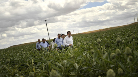 El presidente del Gobierno Mariano Rajoy, en una imagen de archivo facilitada por el PP. El presidente del Gobierno Mariano Rajoy, en una imagen de archivo facilitada por el PP.
