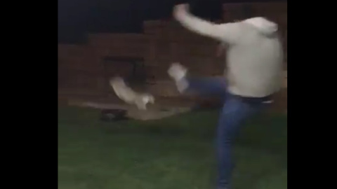 Captura del vídeo en el que se ve a un hombre propinando una patada a una gato. Captura del vídeo en el que se ve a un hombre propinando una patada a una gato.