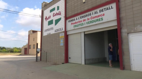 La cooperativa de l'Aldea, al Baix Ebre.