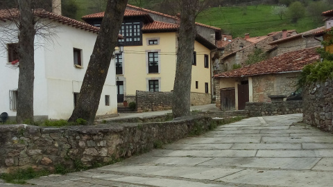 Imagen de Alevia Imagen de Alevia