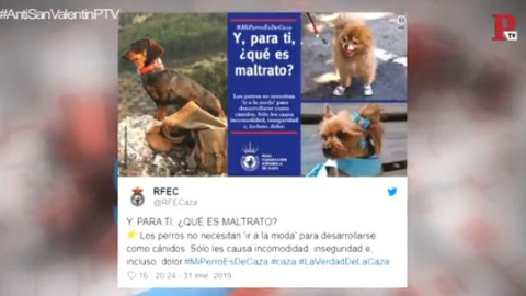 Para los cazadores, cazar con perros no es maltrato; vestirlos, sí Para los cazadores, cazar con perros no es maltrato; vestirlos, sí