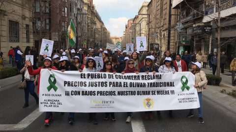 La 'tractorada' atraviesa el centro de Granada La 'tractorada' atraviesa el centro de Granada