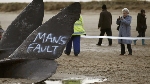 Dos ballenas yacen en la arena en la playa de Skegness, en Inglaterra. REUTERS/Andrew Yates