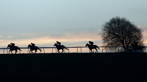 Entrenan caballos de carrera de madrugada en Lambourn, sur de Inglaterra, 28 de enero de 2016. REUTERS / Eddie Keogh