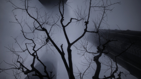 Rascacielos vistas desde abajo durante la lluvia en el distrito financiero de Pudong en Shanghái, China, 28 de enero de 2016. REUTERS/Aly Song