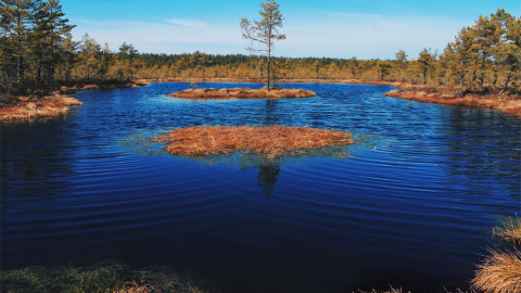 Estonia. LIISA UIBO (Ramsar)