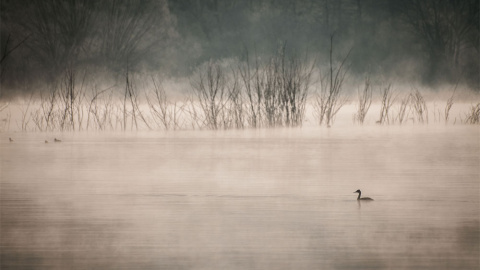 El lago Paladru, en Isere, Francia, conocido como el Lago Azul. THÉO DELLAROTA (Ramsar)