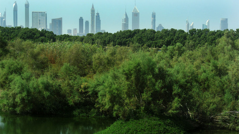 El santuario de vida salvaje Ras Al Khor, en Emiratos Árabes. FRANCESCA NEGRINI (Ramsar)