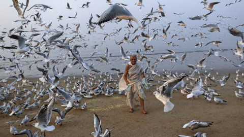 Un hombre alimenta a varias gaviotas en una playa del Mar Arábigo en Bombay. REUTERS/Danish Siddiqui