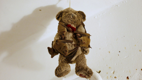 Murciélagos heridos cuelguen de un oso de peluche en casa una mujer israelí en Tel Aviv. REUTERS/Baz Ratner