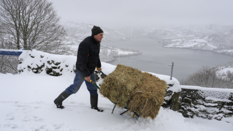 Un hombre transporta comida para el ganado en el municipio orensano de Chandrexa de Queixa, la nieve condiciona la circulación en la alta montaña en Galicia. EFE/Brais Lorenzo
