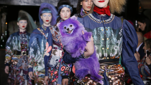 Un perro acompaña a los modelos que presentan creaciones del diseñador indio Manish Arora en su colección otoño / invierno de mujer en París, Francia, 3 de marzo de 2016. REUTERS / Gonzalo Fuentes