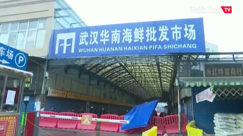 Hallazgos y dudas de la OMS sobre el origen del virus Hallazgos y dudas de la OMS sobre el origen del virus