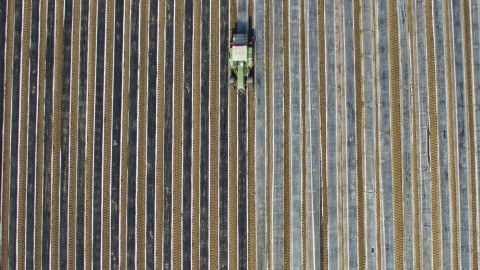 Un agricultor trabaja la tierra para cultivar espárragos en Vollbuettel, Alemania. EFE/Julian Stratenschulte