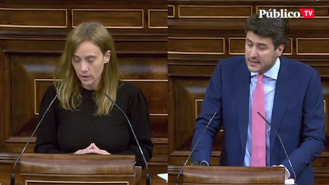 La rotunda respuesta del PSOE a Vox sobre la Ley de Bienestar Animal La rotunda respuesta del PSOE a Vox sobre la Ley de Bienestar Animal