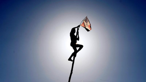 Un niño iza una bandera tras escalar un palo de unos ocho metros de altura durante la celebración del Desfile Nacional de Carnaval en Santo Domingo (República Dominicana). EFE/Orlando Barría