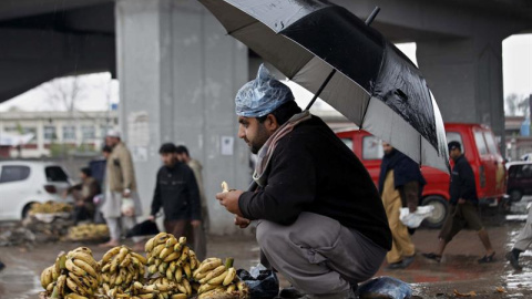 Un vendedor se cubre de la lluvia con un paraguas en Peshawar (Pakistán). EFE/Arshad Arbab