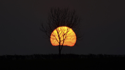 El sol se pone detrás de un árbol en una granja cerca de Cheltenham, Inglaterra. REUTERS / Dylan Martínez