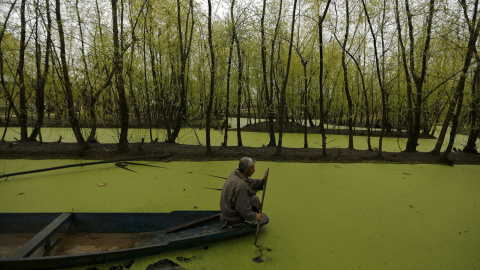 Un hombre navega en el lago en Srinagar, en India. REUTERS/Danish Ismail