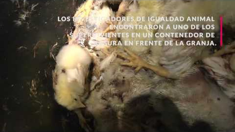 zyxWhuFCFmY zyxWhuFCFmY