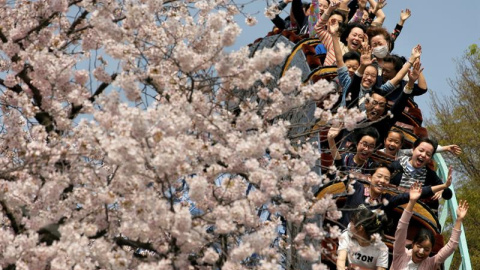 Varias personas montan en una montaña rusa junto a cerezos en flor en el parque de atracciones de Toshimaen en Tokio. EFE/Kimimasa Mayama