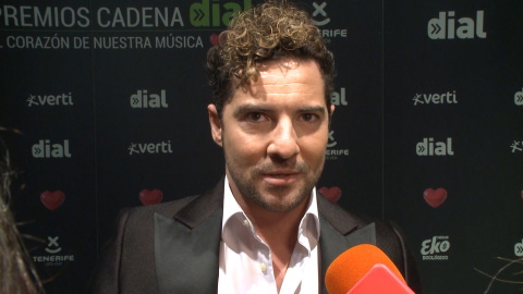 David Bisbal aclara sus diferencias con su expareja David Bisbal aclara sus diferencias con su expareja