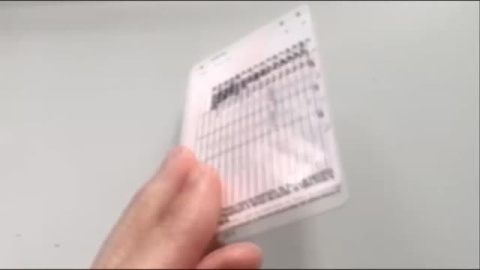 Más de 300 detenidos por comprar y vender carnets de conducir falsos Más de 300 detenidos por comprar y vender carnets de conducir falsos