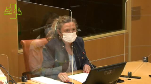 Sagardui: "Estamos a la espera de la reunión del Consejo Interterritorial para determinar cómo se va a proceder" Sagardui: "Estamos a la espera de la reunión del Consejo Interterritorial para determinar cómo se va a proceder"