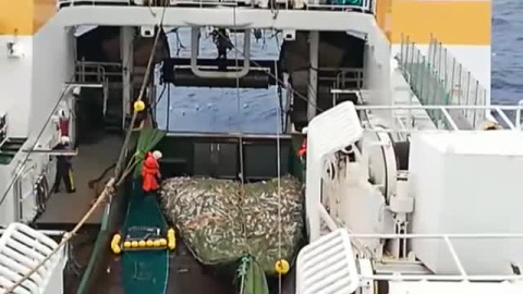 Petición de vacunas desde el Polo Norte Petición de vacunas desde el Polo Norte