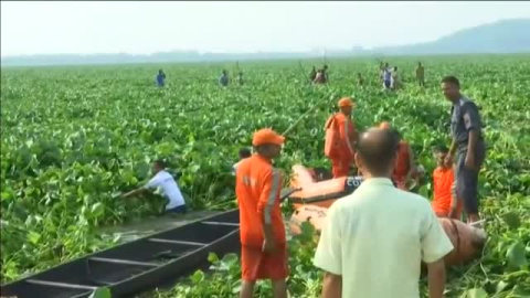 Rescatan a una cría de elefante de un lago en la India Rescatan a una cría de elefante de un lago en la India
