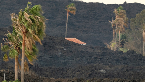 Vista de la colada del volcán desde la localidad de Tajuya. Vista de la colada del volcán desde la localidad de Tajuya.