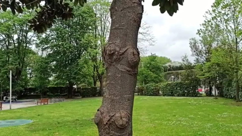 Los parques donostiarras vacíos por el confinamiento infantil Los parques donostiarras vacíos por el confinamiento infantil