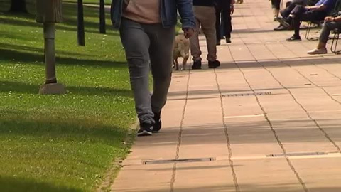 Agresión múltiple a dos jóvenes en Gijón Agresión múltiple a dos jóvenes en Gijón