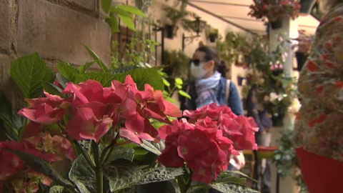 Córdoba abre sus patios de flores en el centenario de su celebración Córdoba abre sus patios de flores en el centenario de su celebración